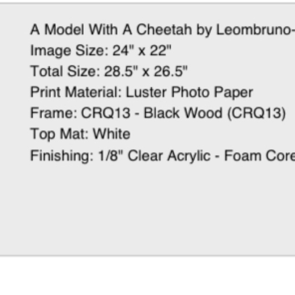 Vogue Model with a Cheetah